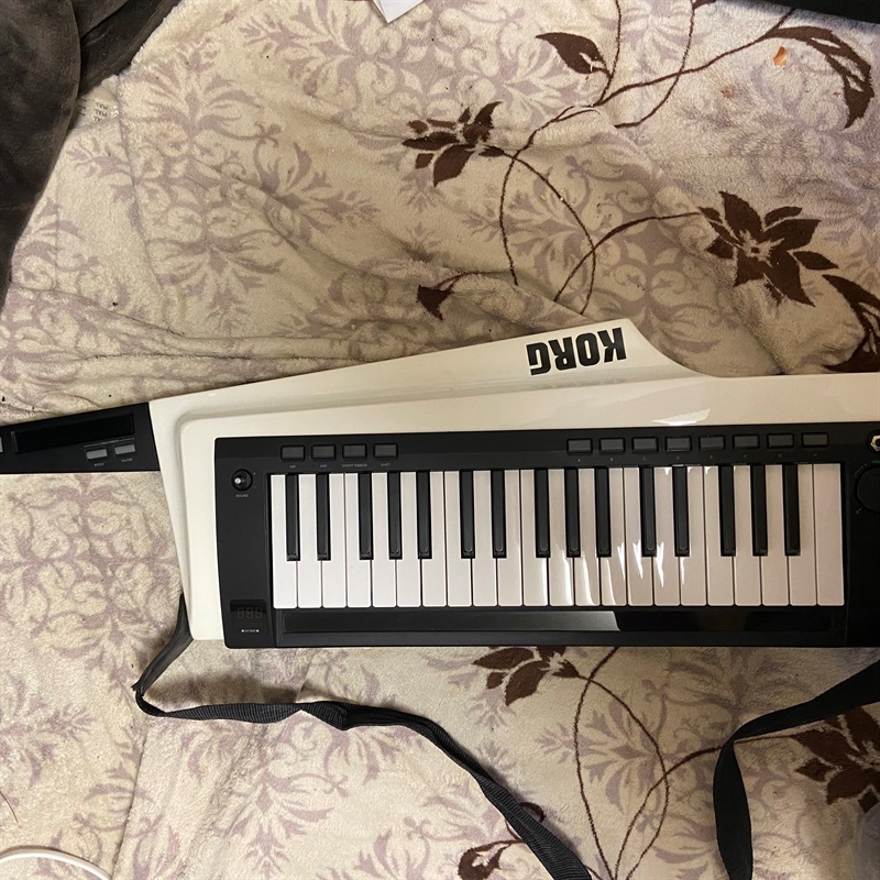 KORG RK-100Sの画像